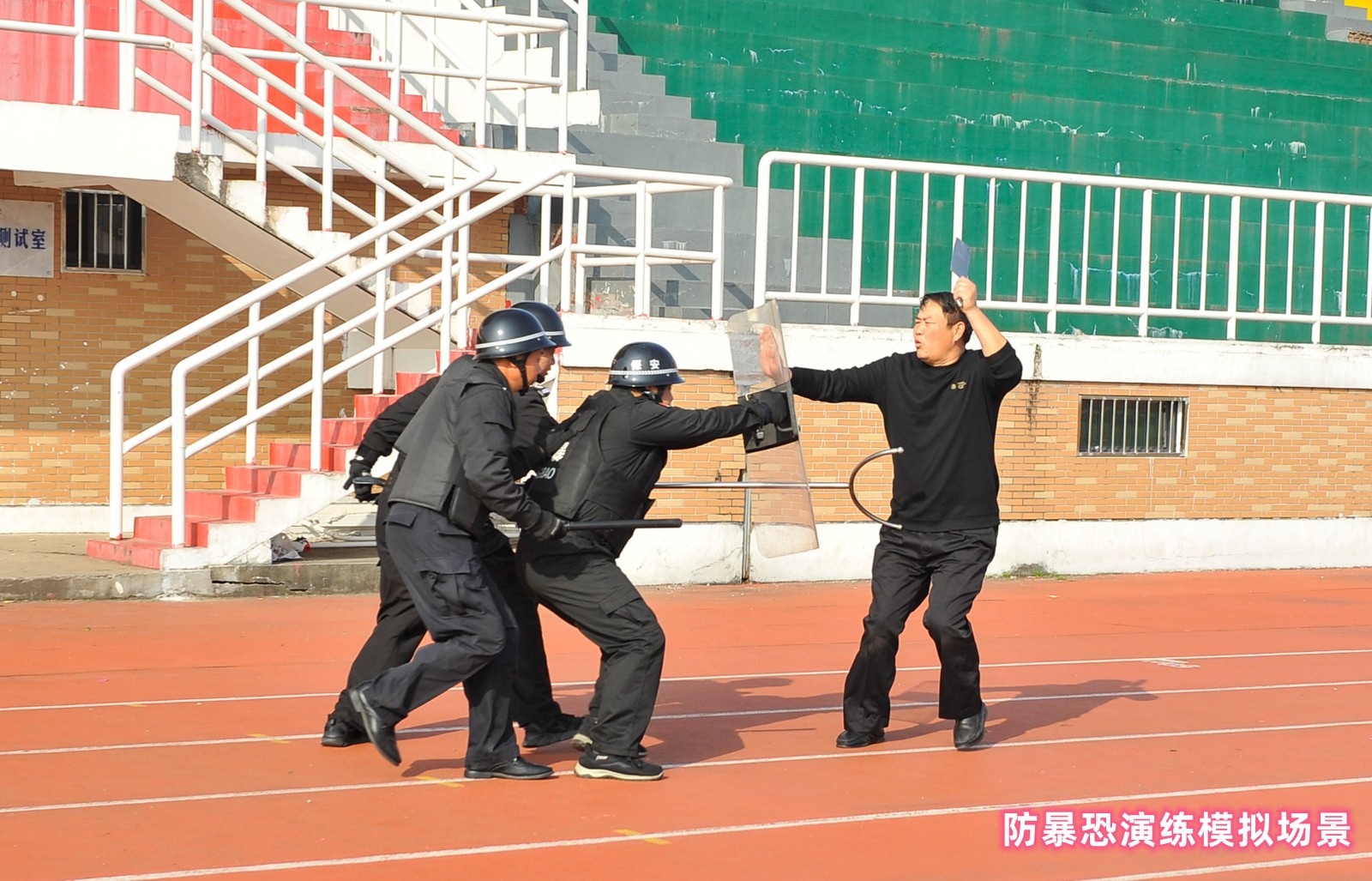 _DSC8731_副本_副本.jpg _DSC8731_副本_副本.jpg